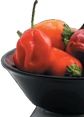about_us/peppers_bowl.gif
